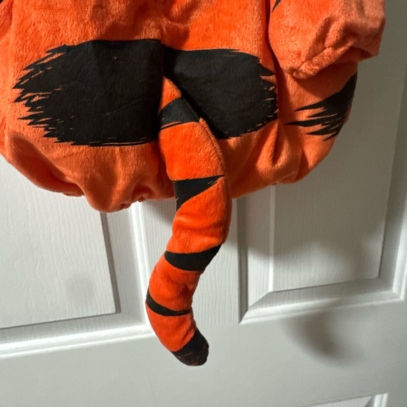 Disney TIGGER Costume / Size 9-12 months - Picture 4 of 6